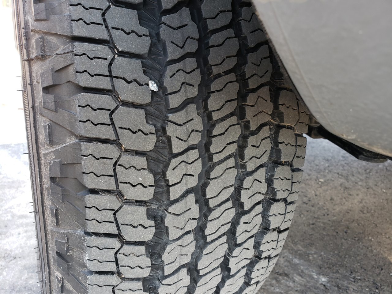 20201203_101101.jpg