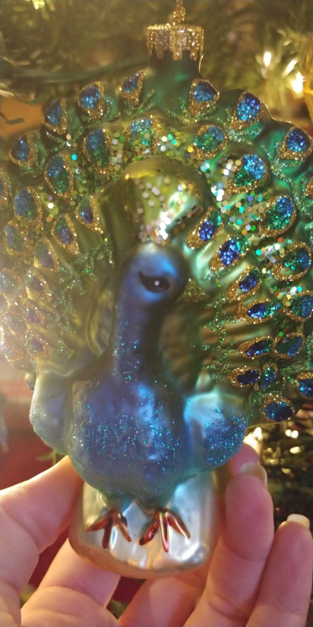 20201203_184704.jpg