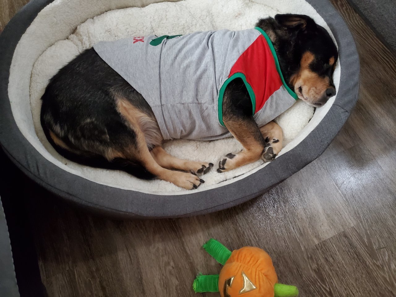 20201203_215303.jpg