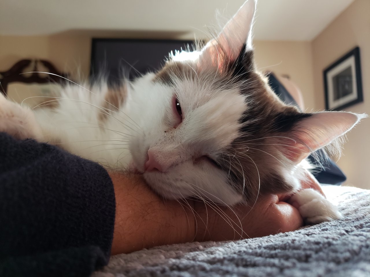 20201204_084619.jpg