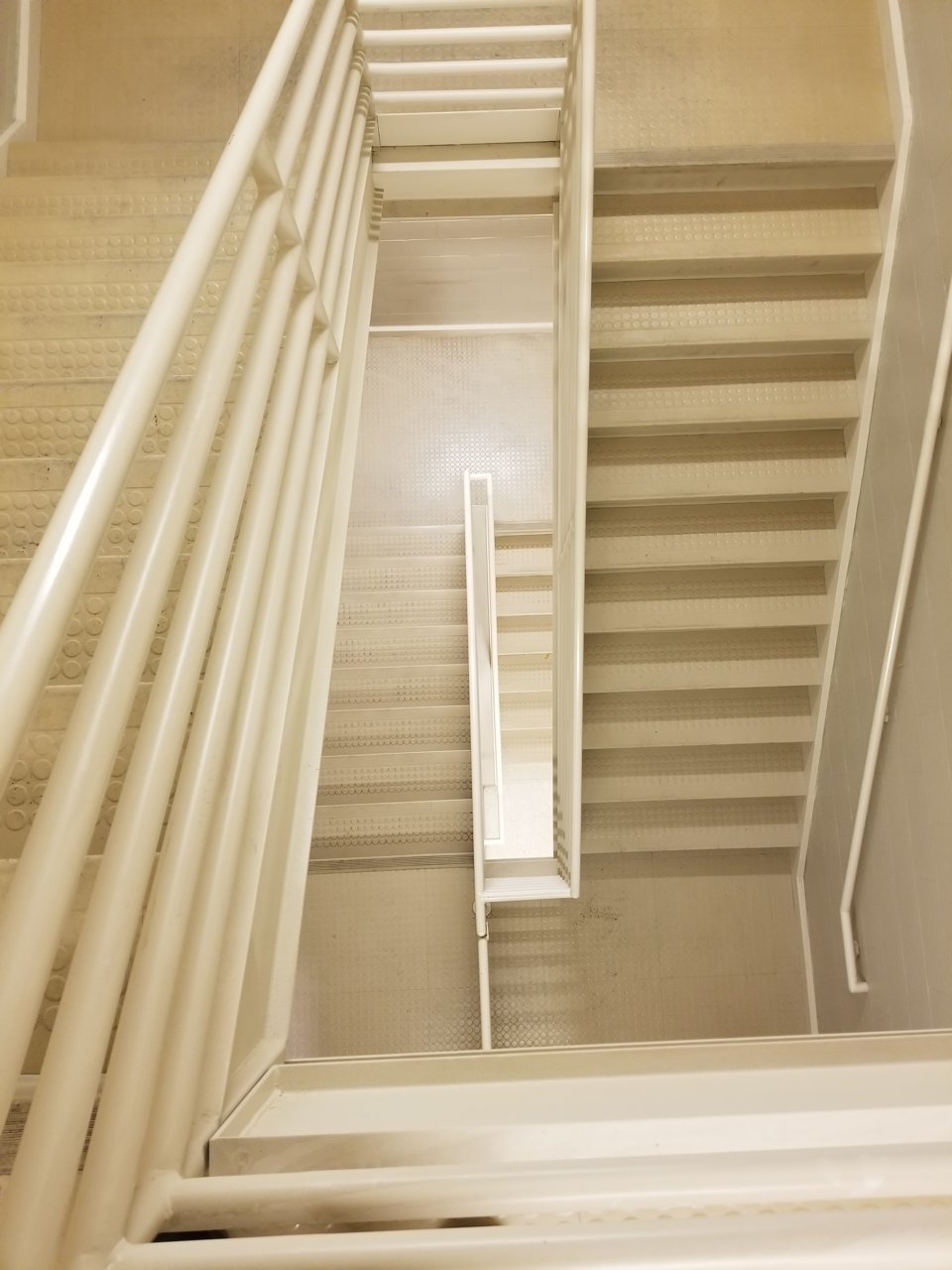 20201204_113104.jpg