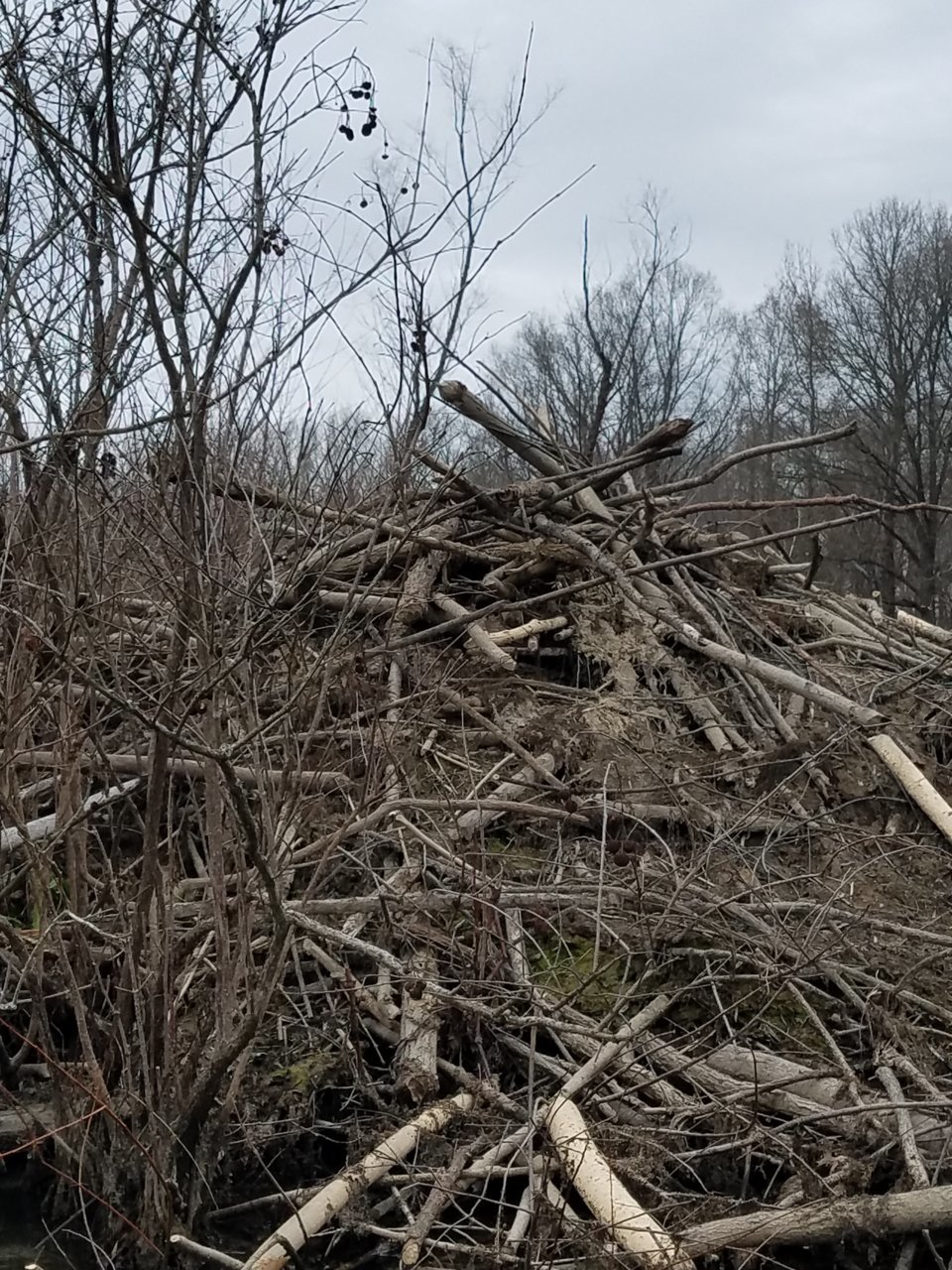 20201204_115324.jpg