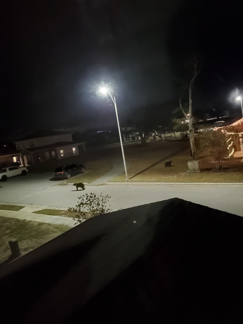 20201204_220224.jpg