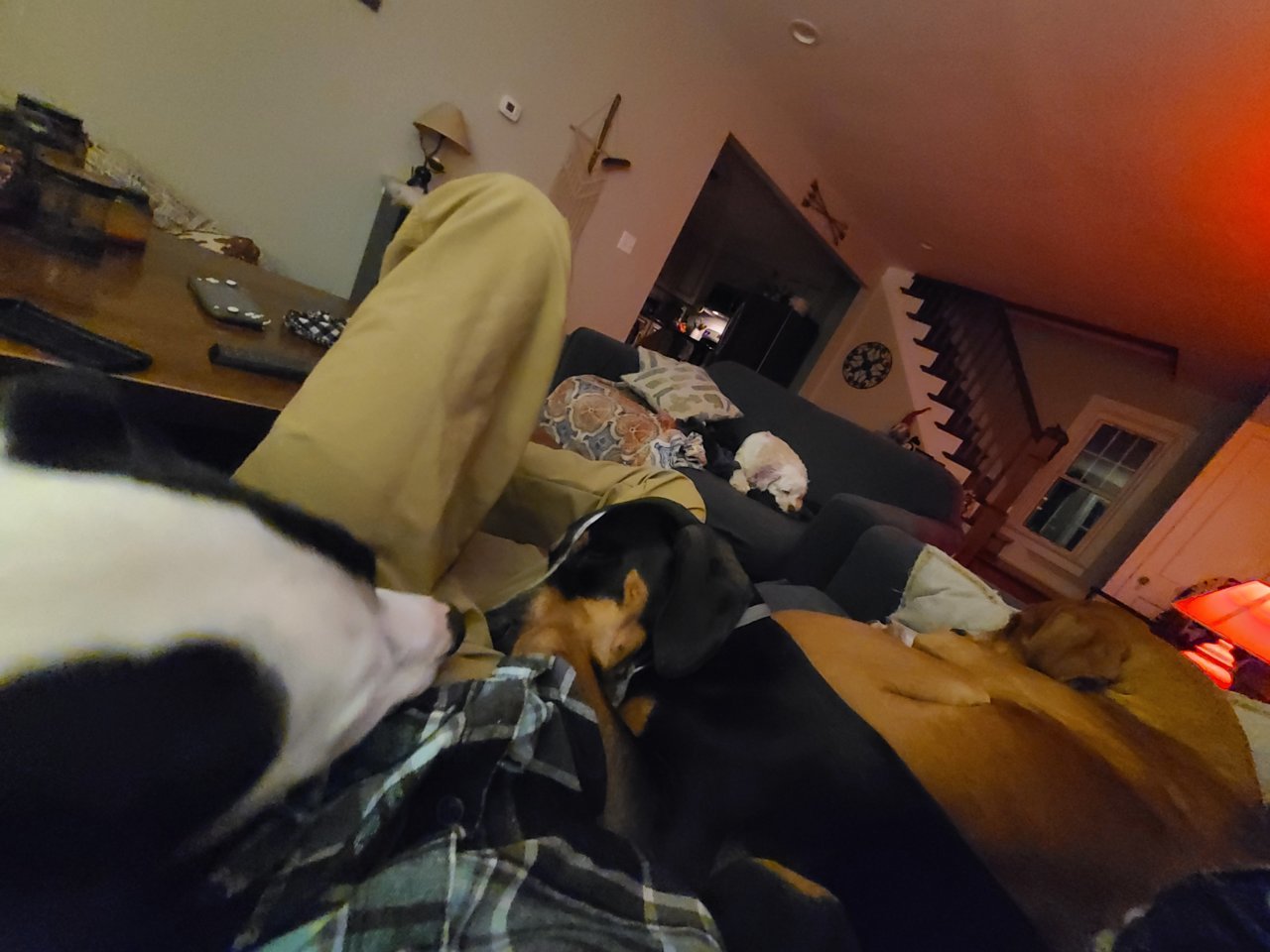 20201205_023244.jpg