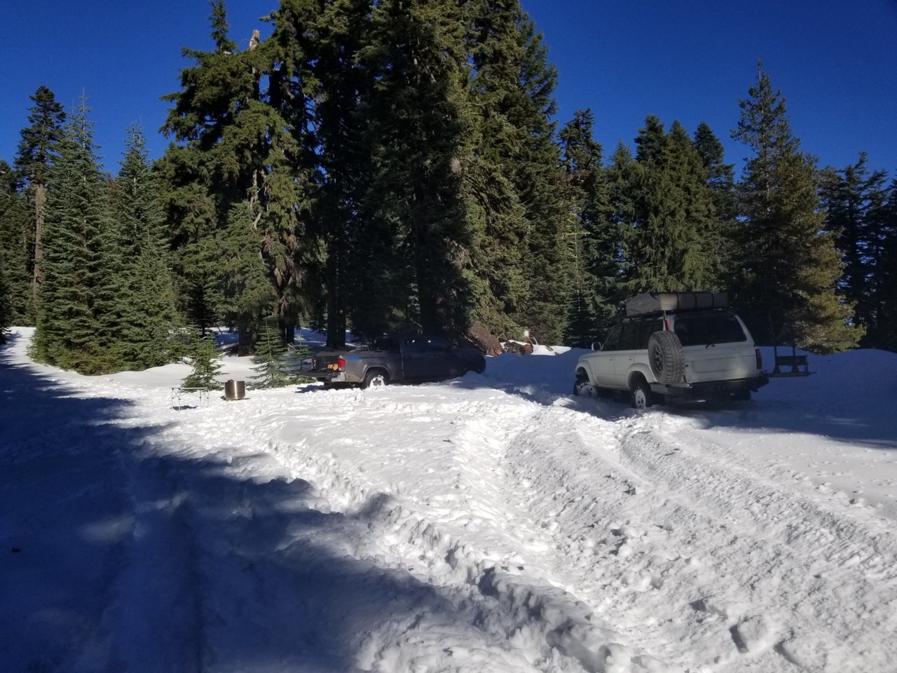 20201205_122906.jpg
