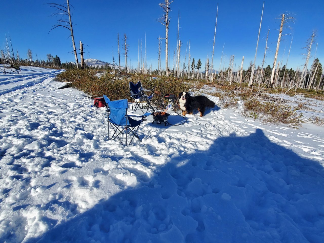 20201205_135259.jpg