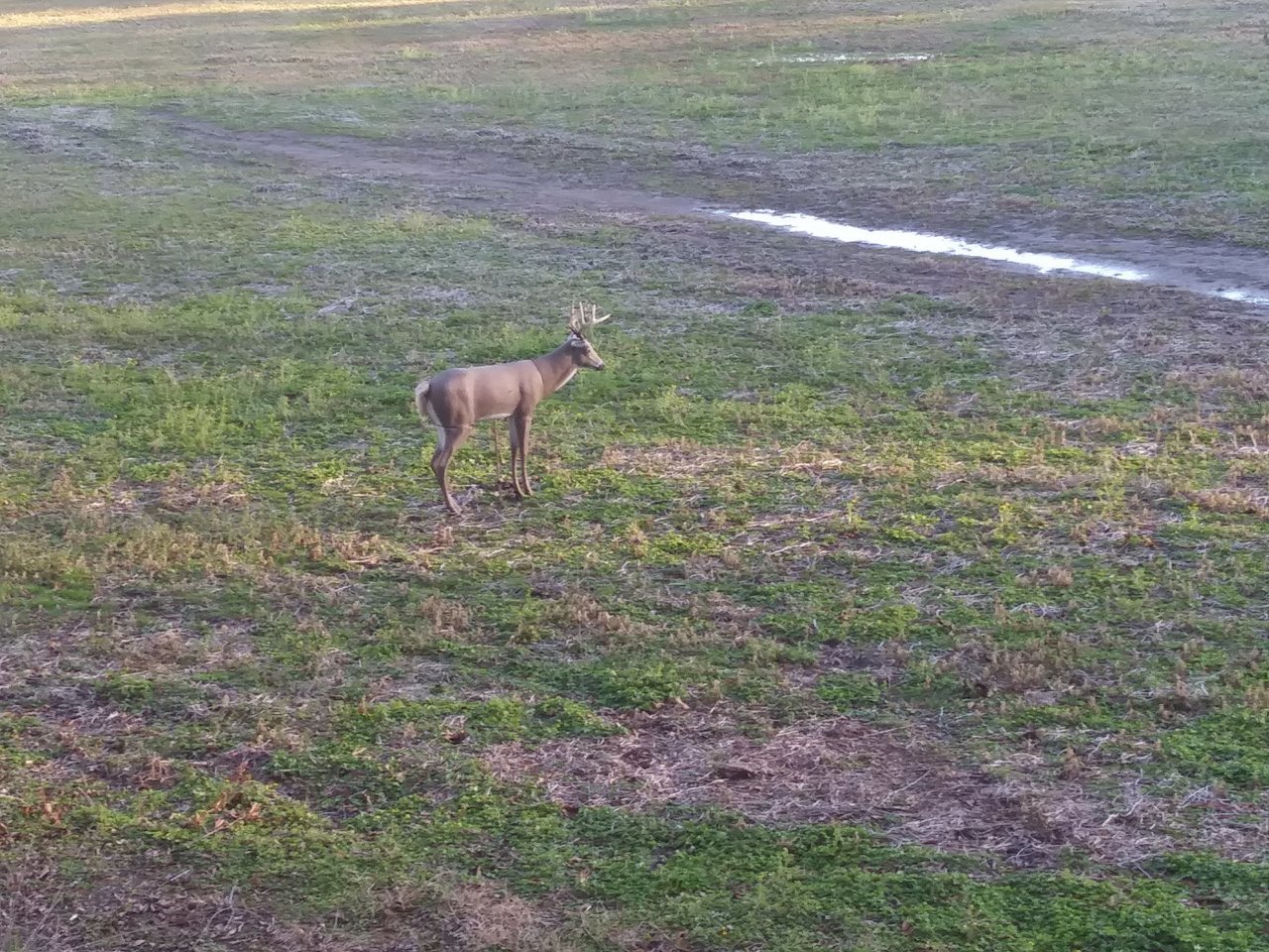 20201205_154754.jpg