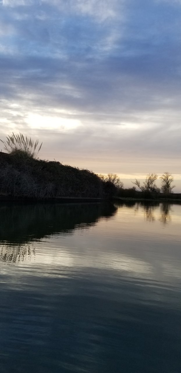 20201205_160432.jpg