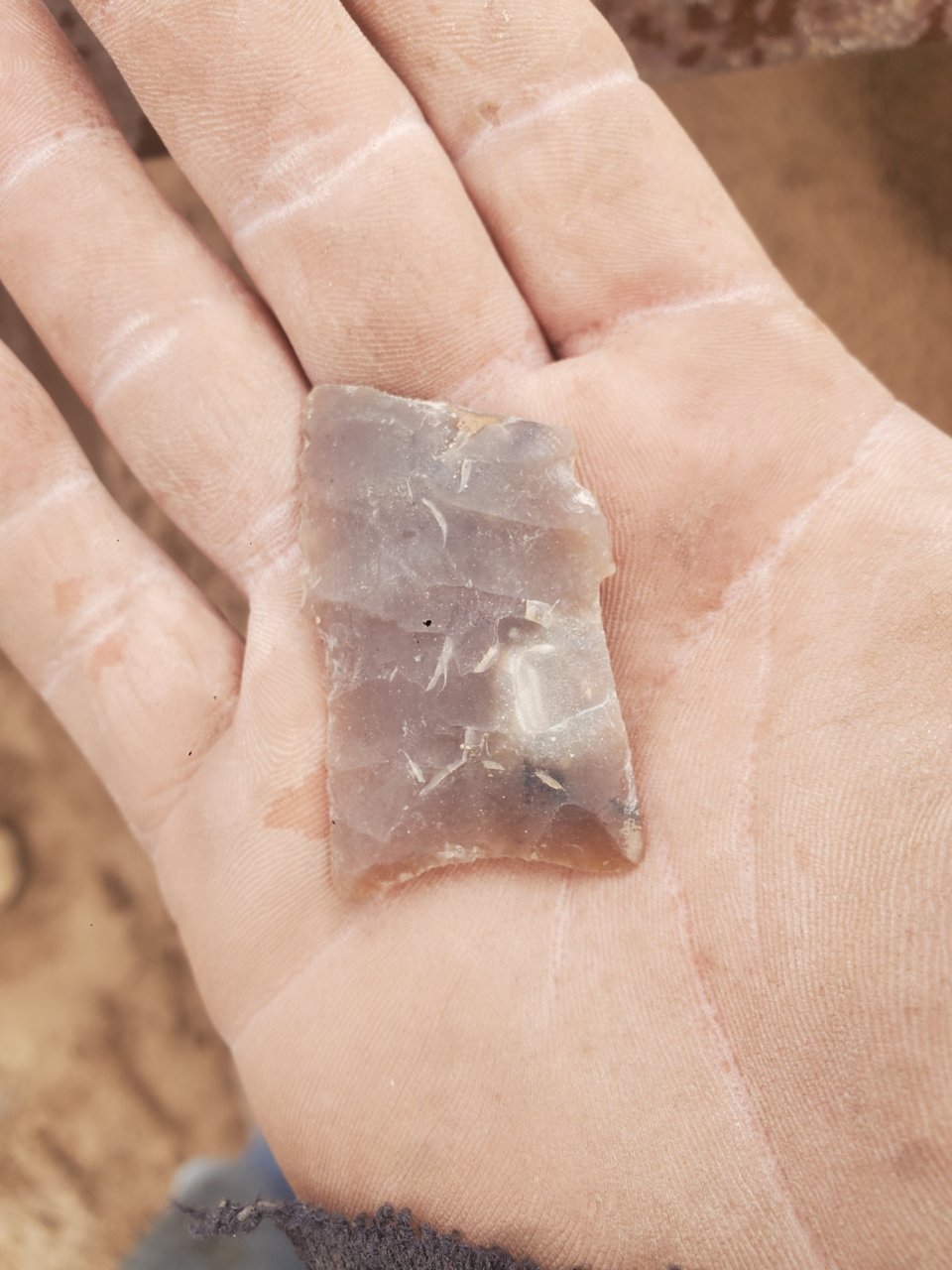 20201205_204011.jpg