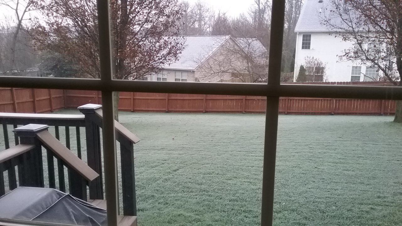 20201206_081041.jpg