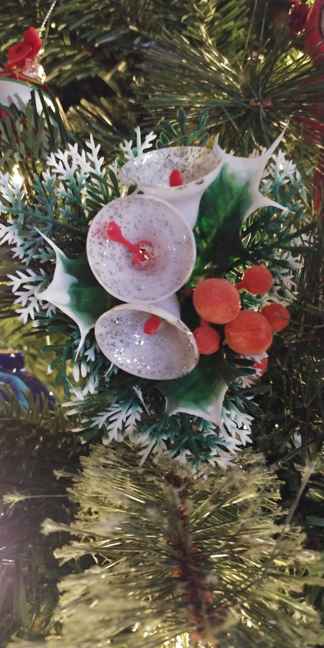 20201206_100810.jpg