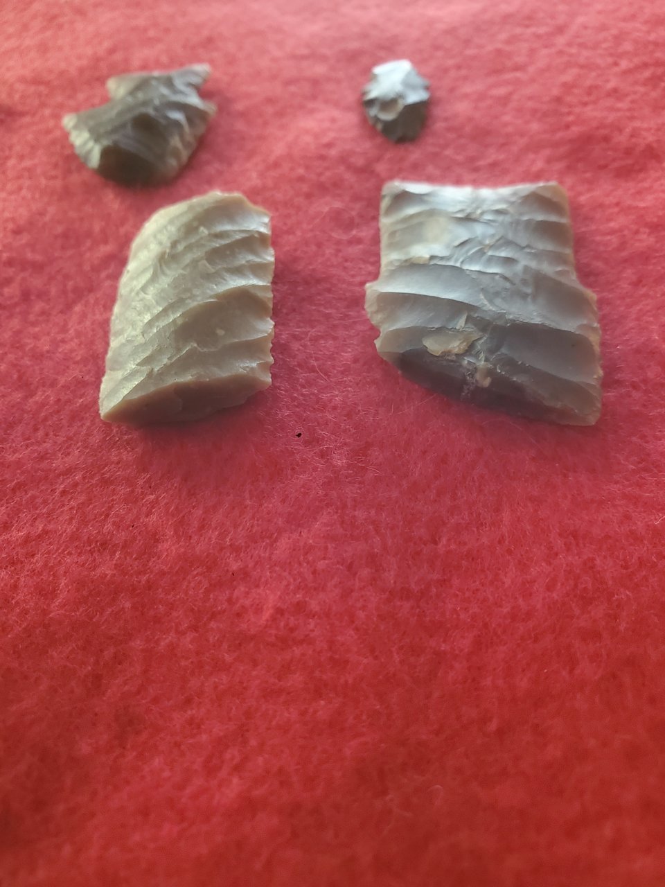 20201206_123027.jpg
