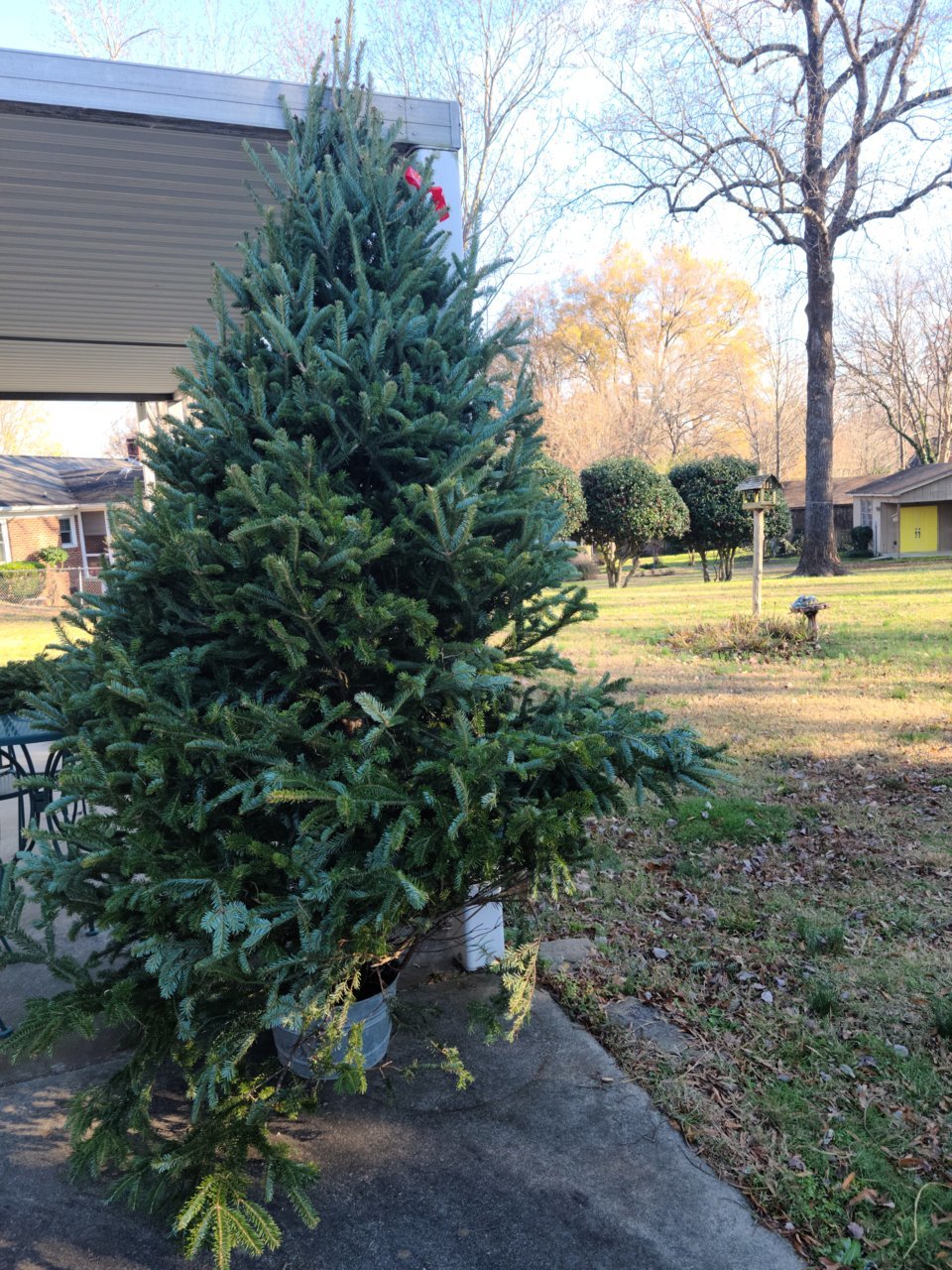 20201206_143724.jpg