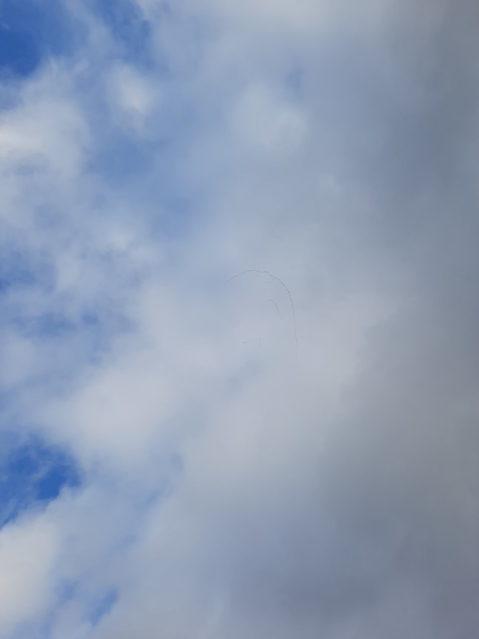 20201206_150311.jpg