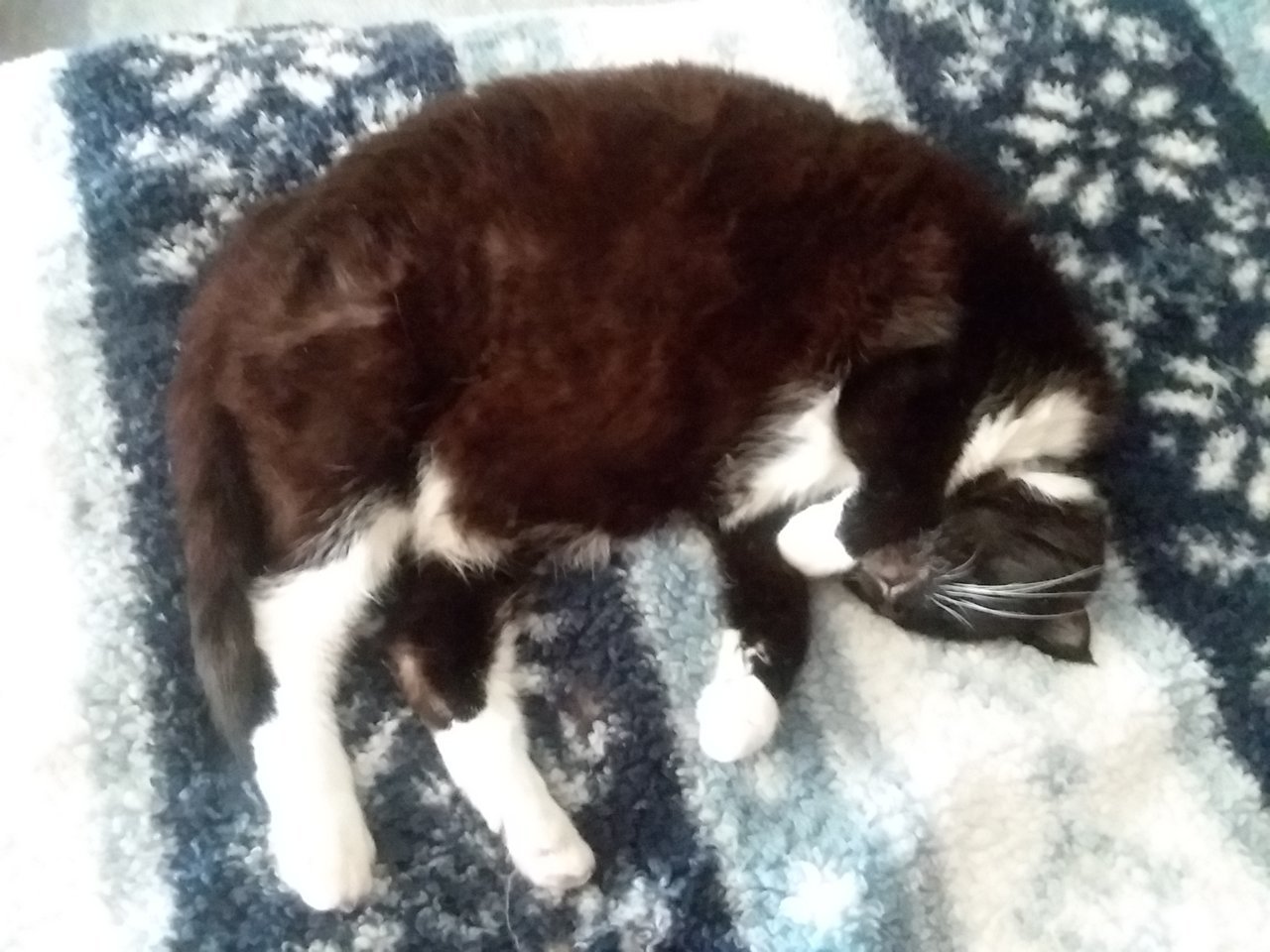 20201206_160335.jpg