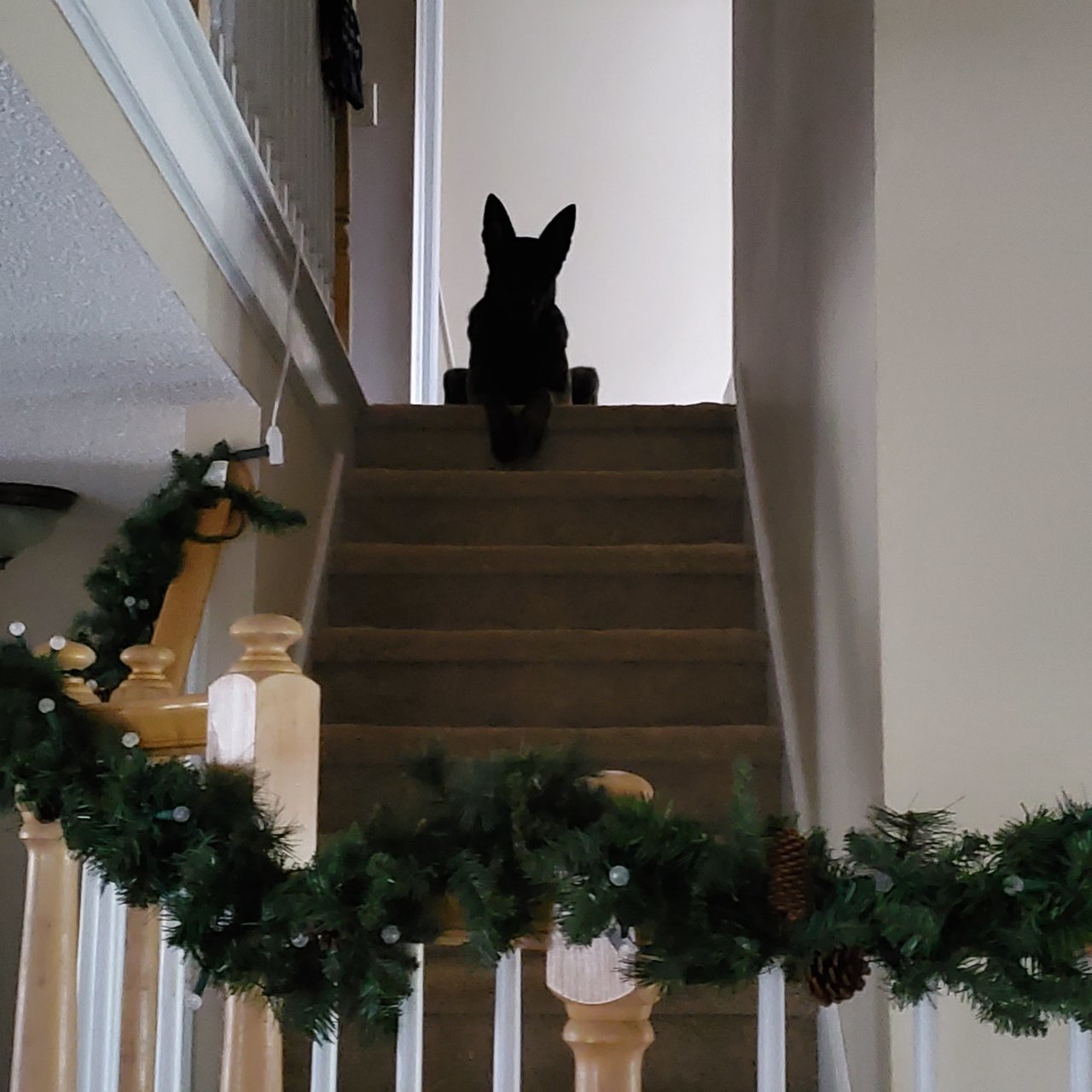 20201207_074641.jpg