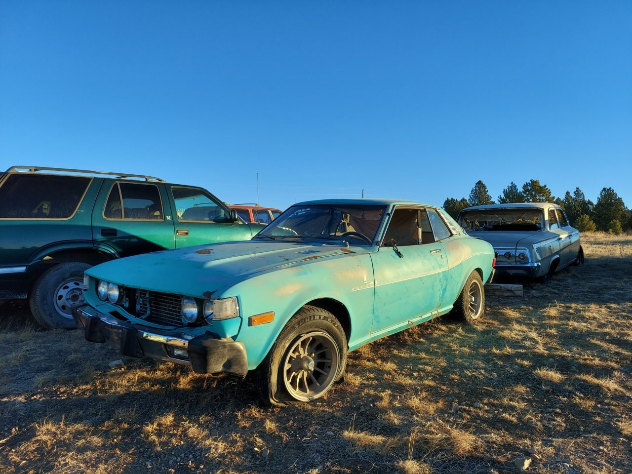 20201207_075846.jpg