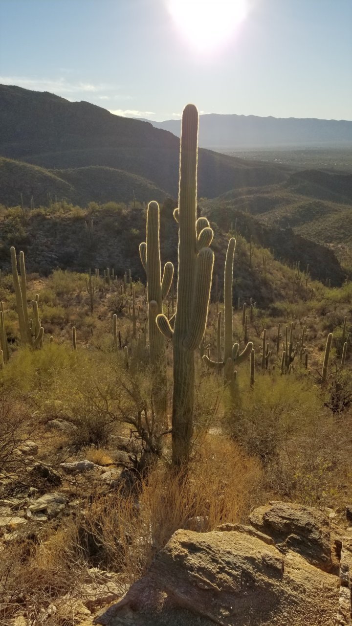 20201207_083652_corrected.jpg