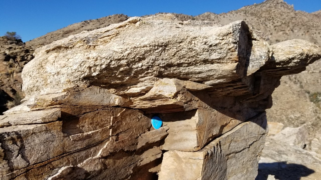20201207_094915.jpg