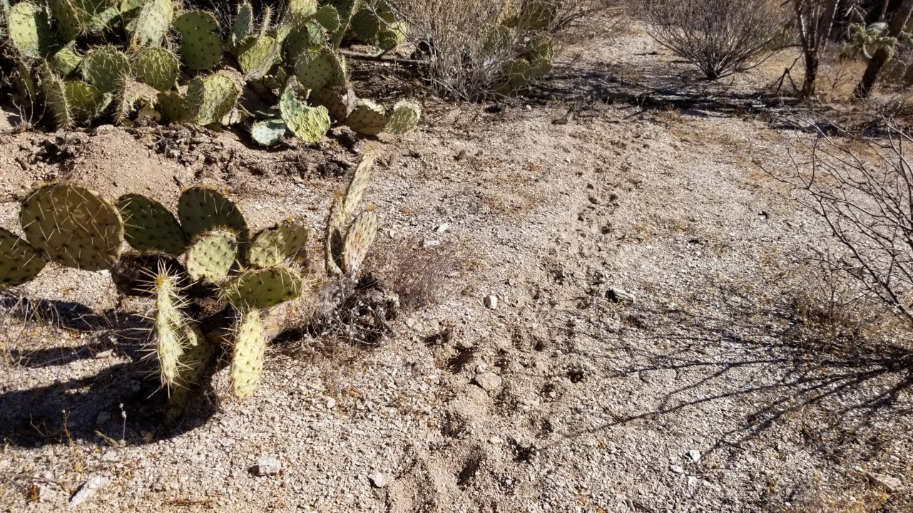 20201207_112305.jpg
