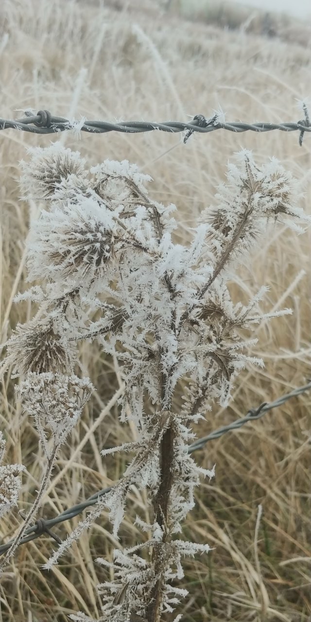 20201207_125848.jpg
