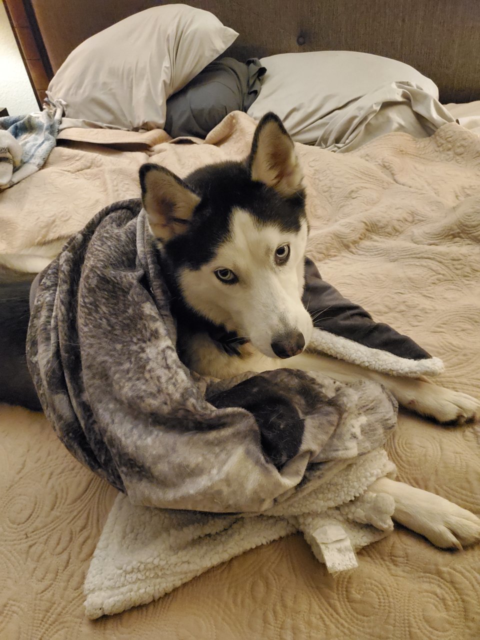 20201207_202959.jpg