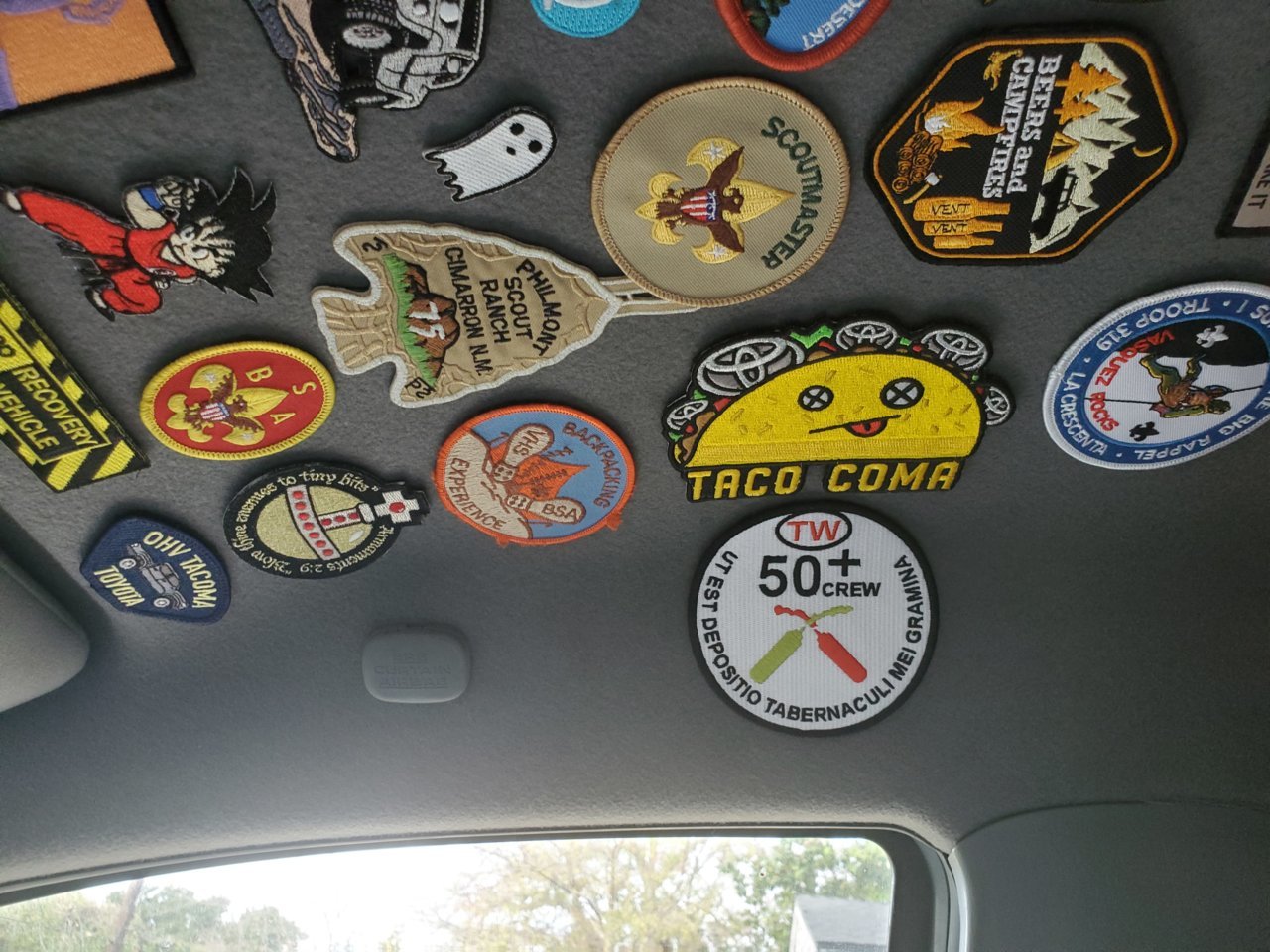 20201208_095733.jpg