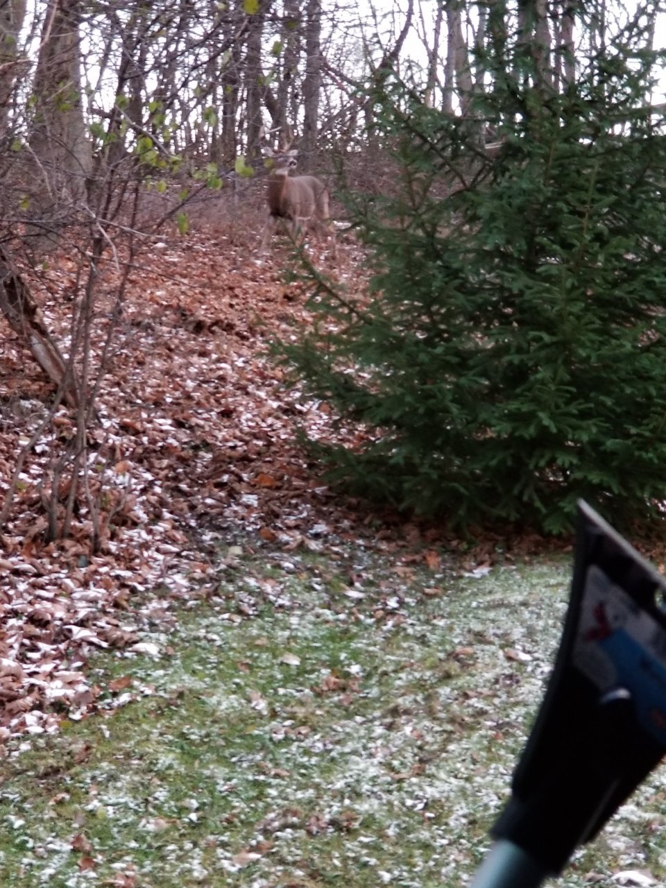 20201208_162537.jpg