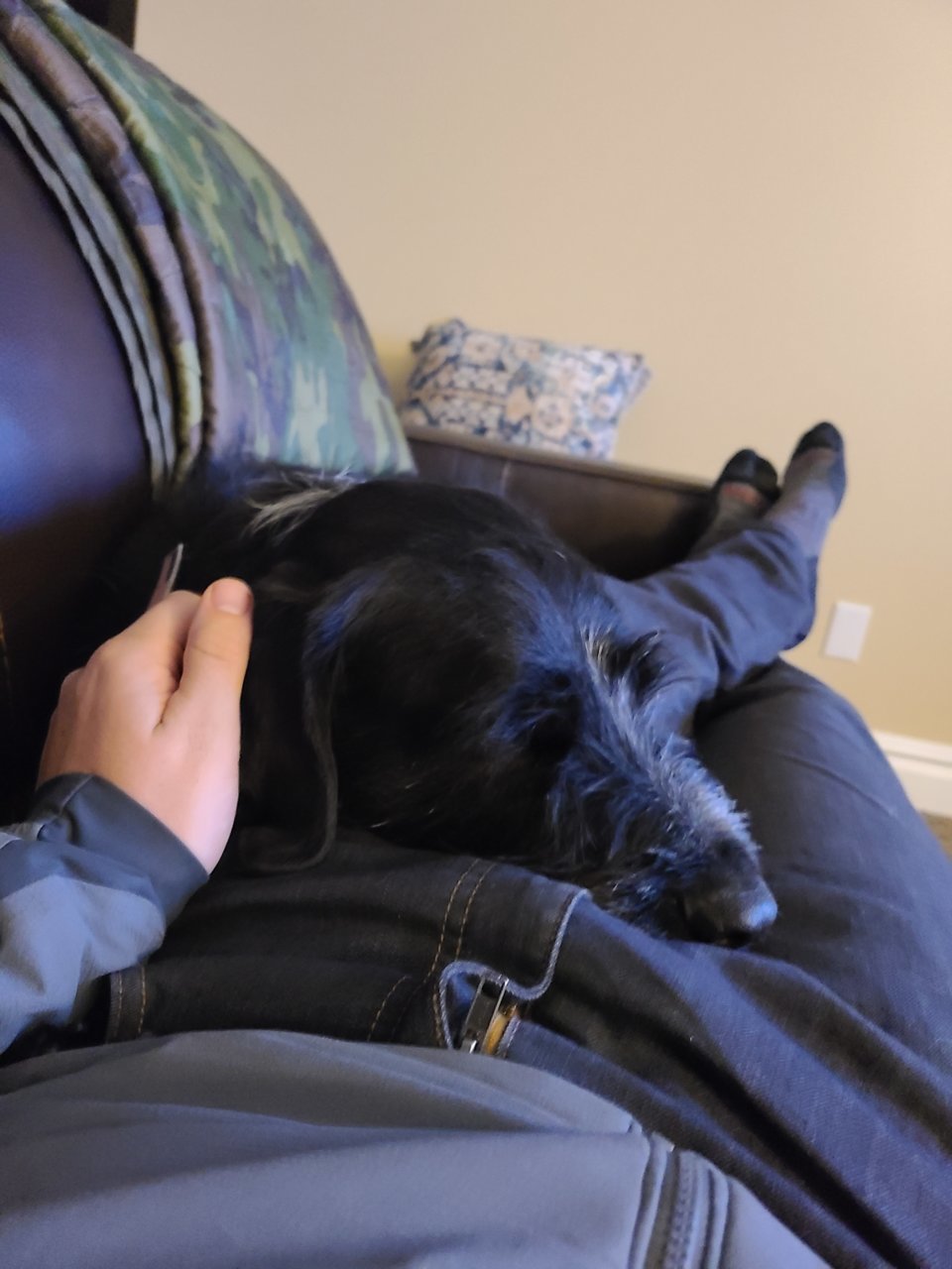 20201208_173131.jpg