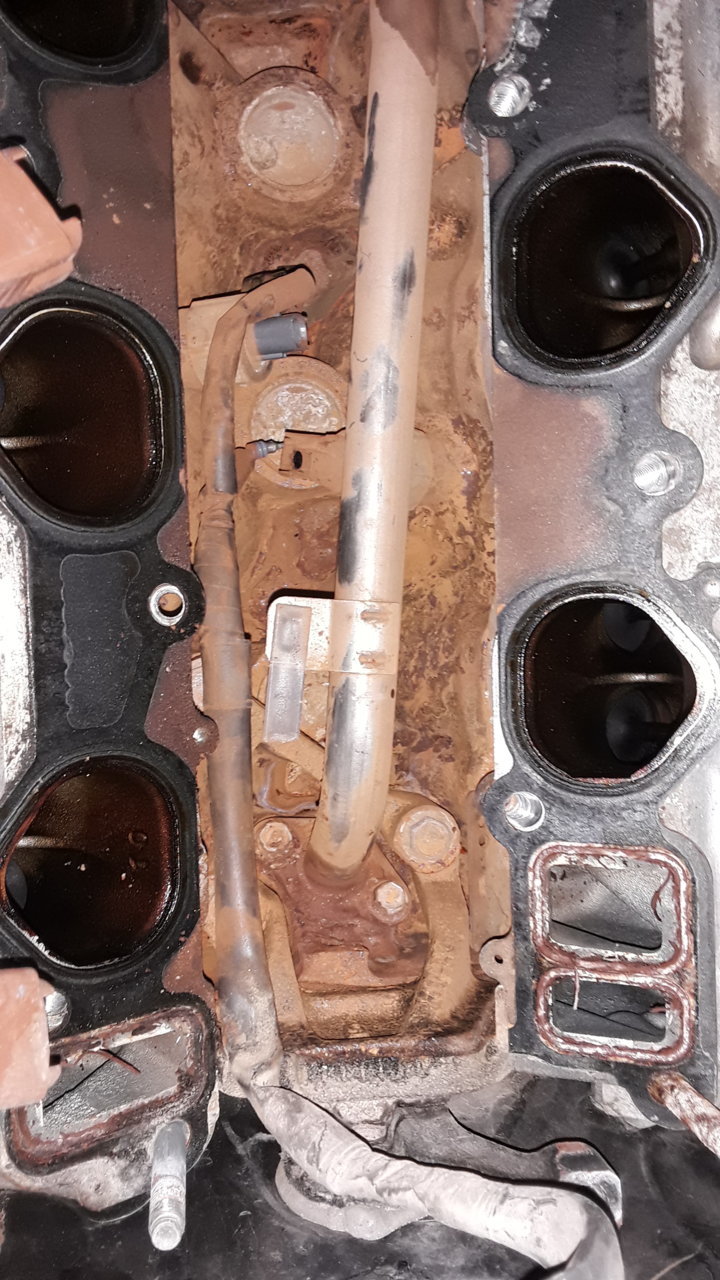 20201208_182904.jpg