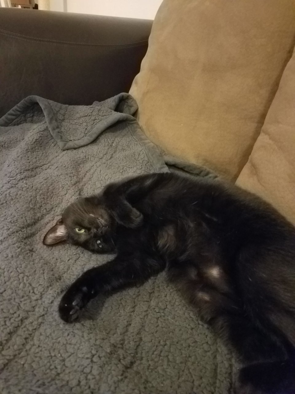 20201208_202519.jpg