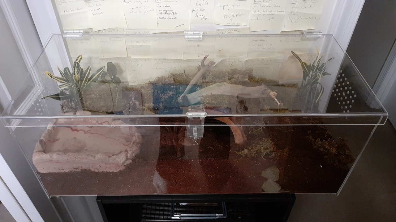 20201208_221421.jpg