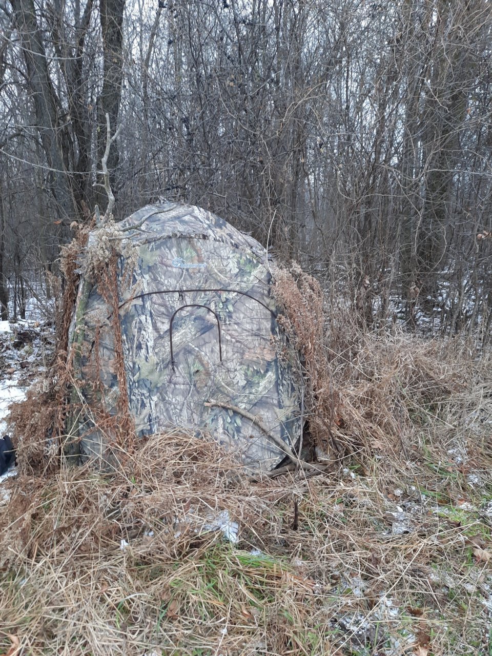 20201209_085137.jpg