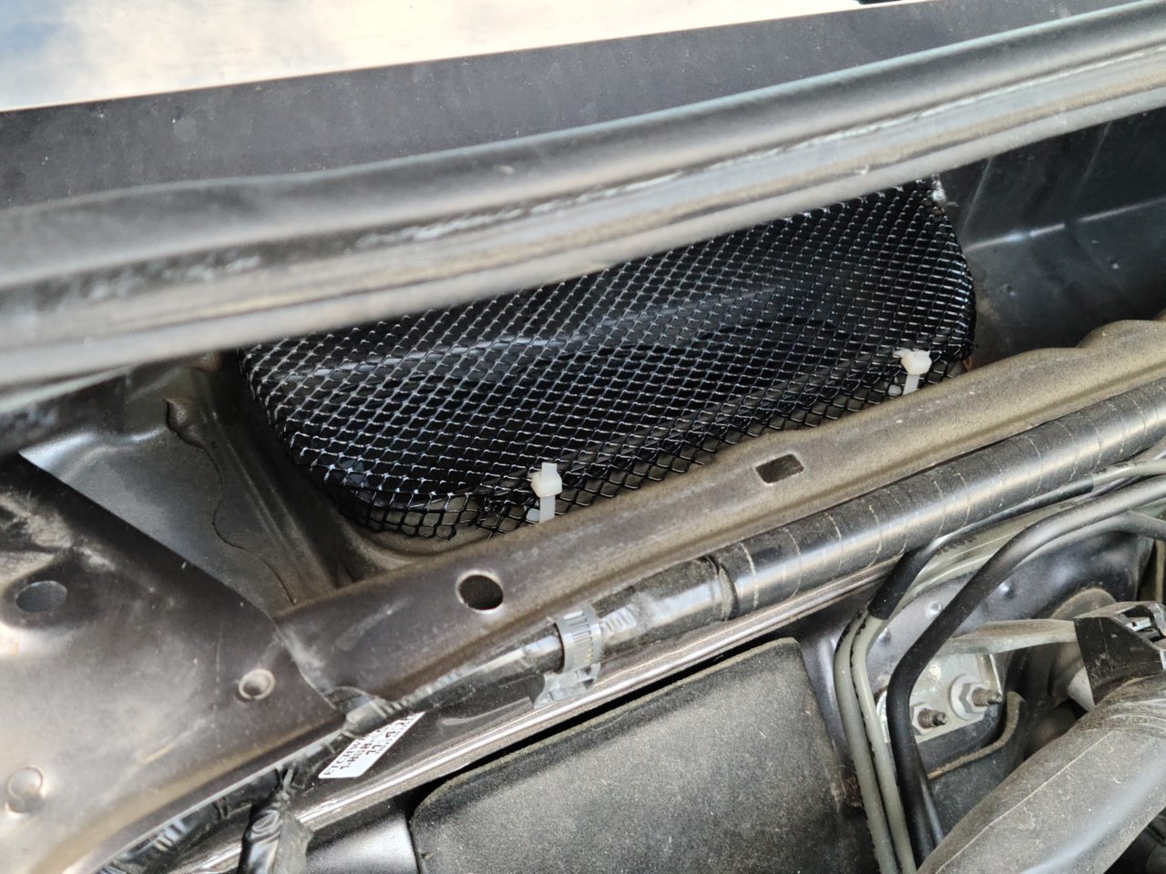 20201210_155212.jpg