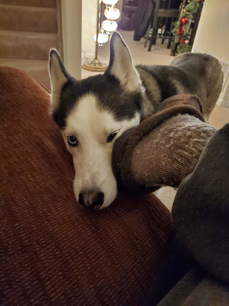 20201210_204143.jpg