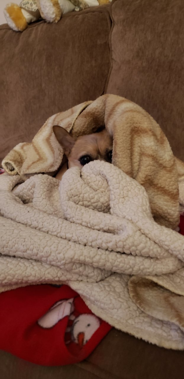 20201211_080256.jpg