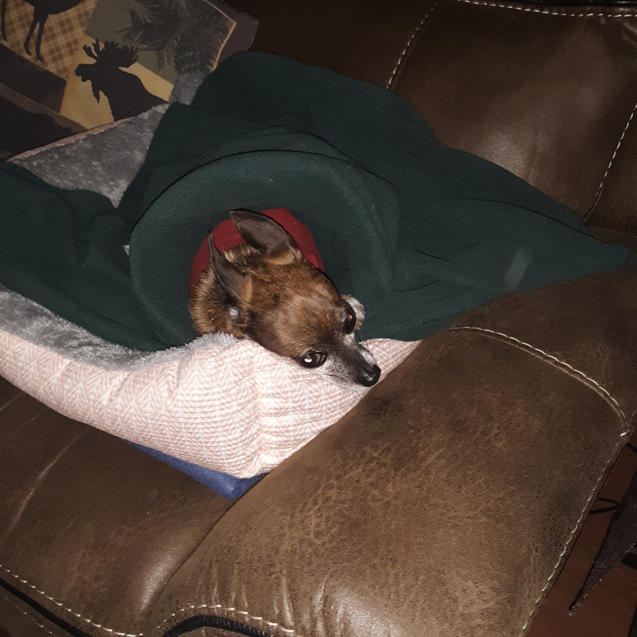 20201211_124024.jpg