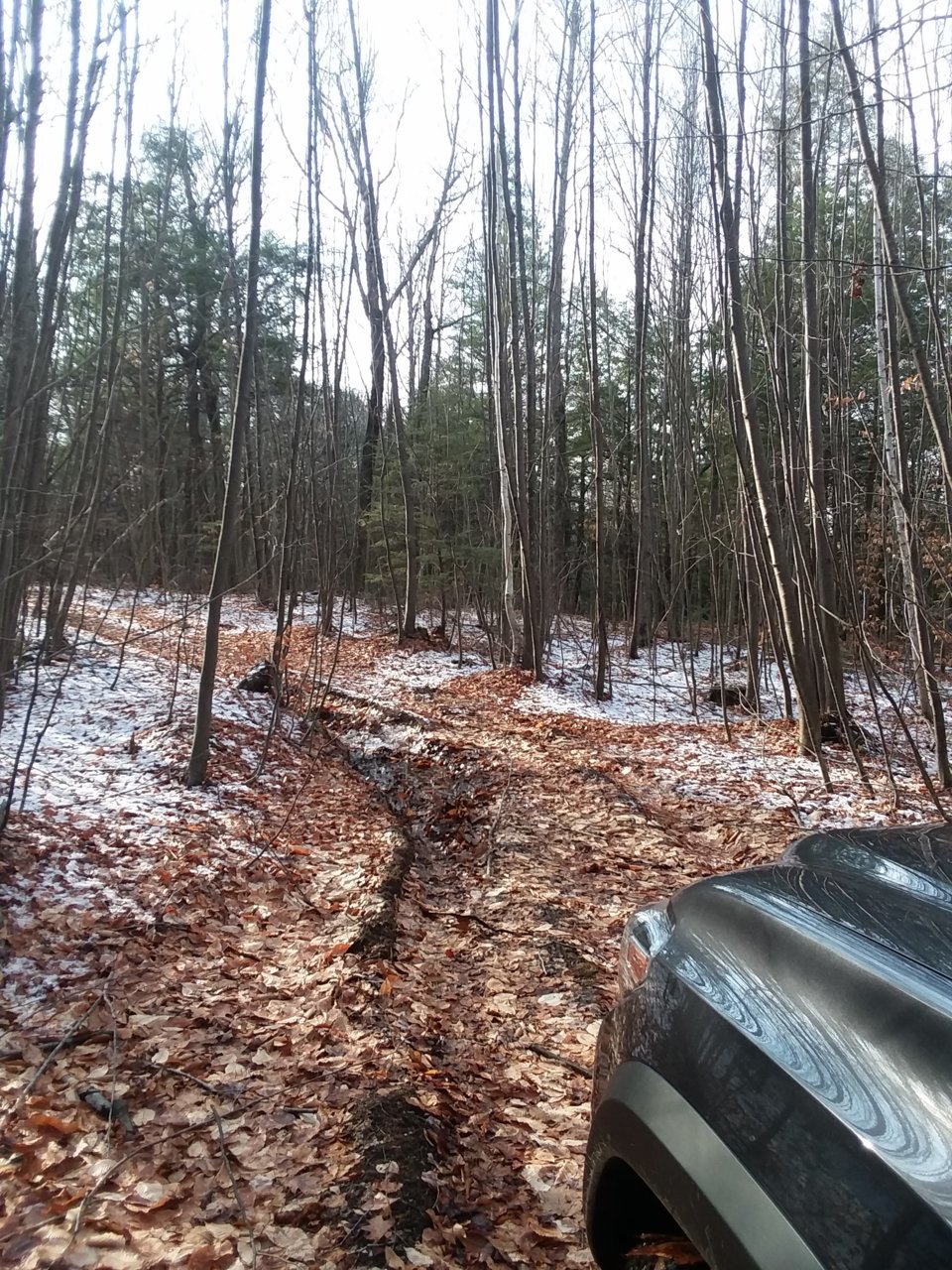 20201211_130346.jpg