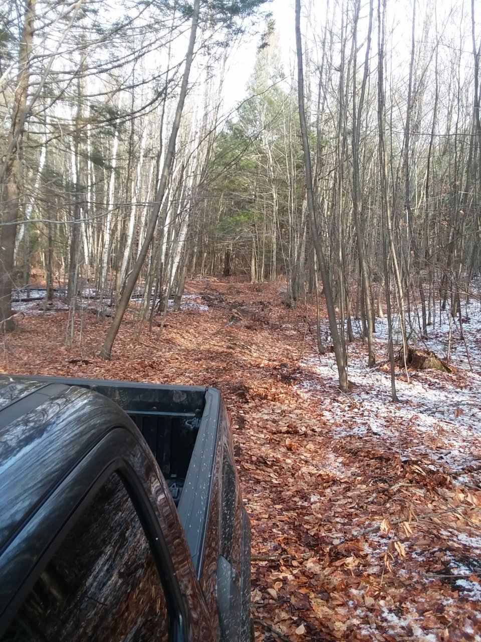 20201211_130408.jpg