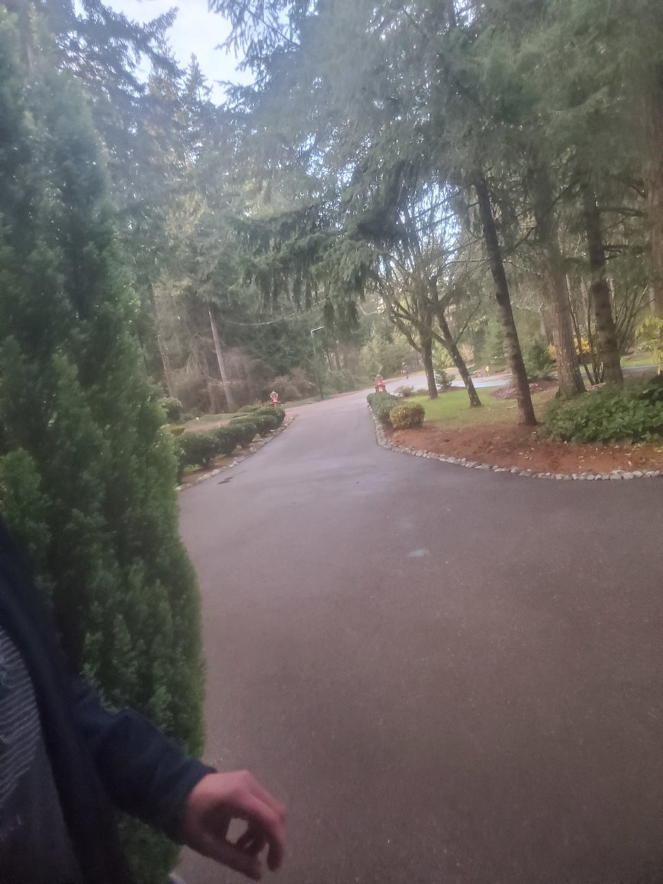 20201211_133120.jpg