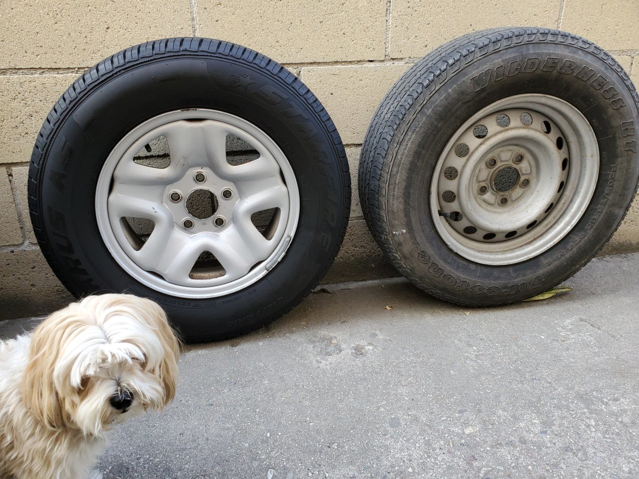 20201211_144135.jpg