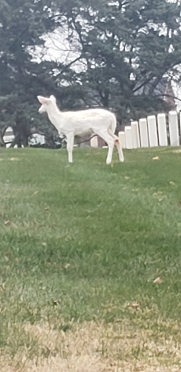 20201211_151216.jpg