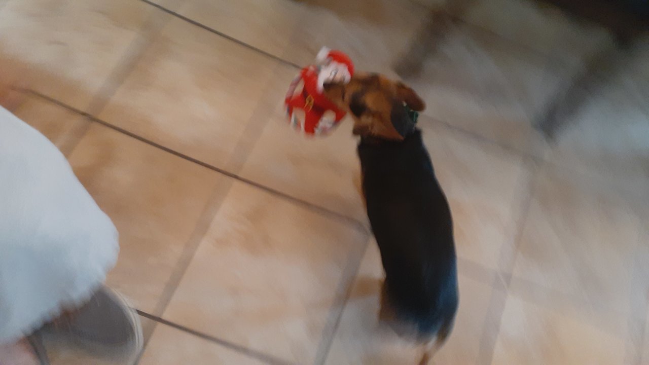 20201211_155338.jpg