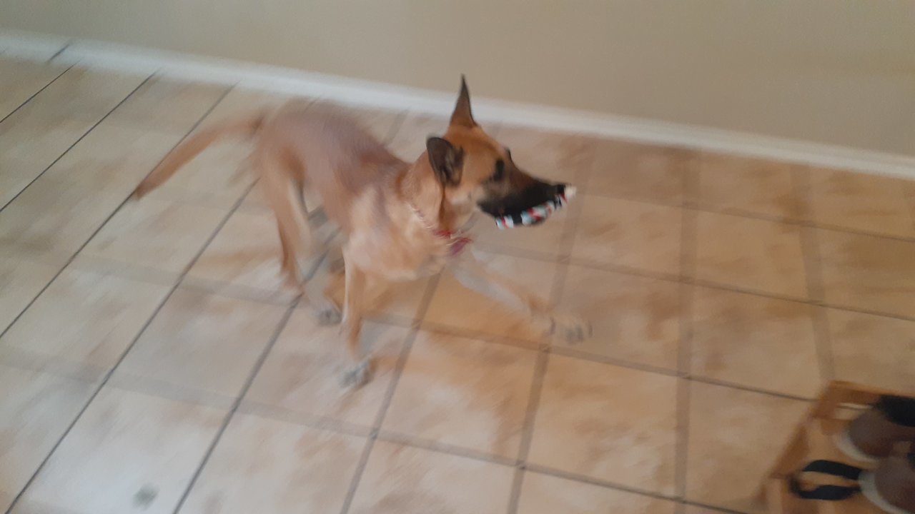 20201211_155513.jpg