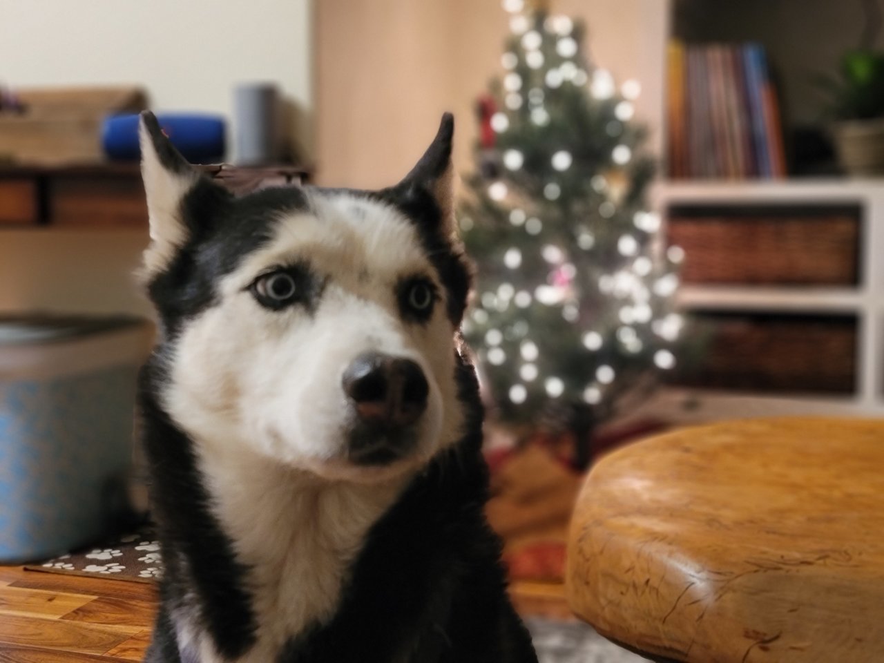 20201211_194304.jpg