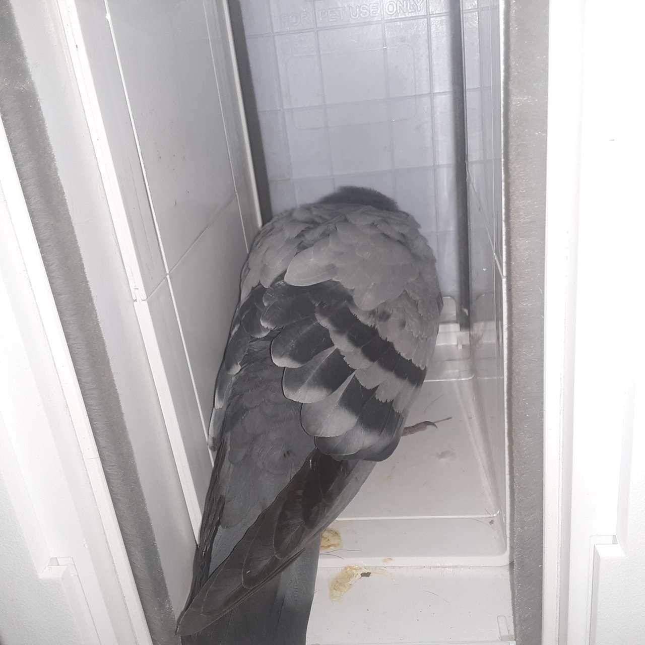 20201211_233736.jpg