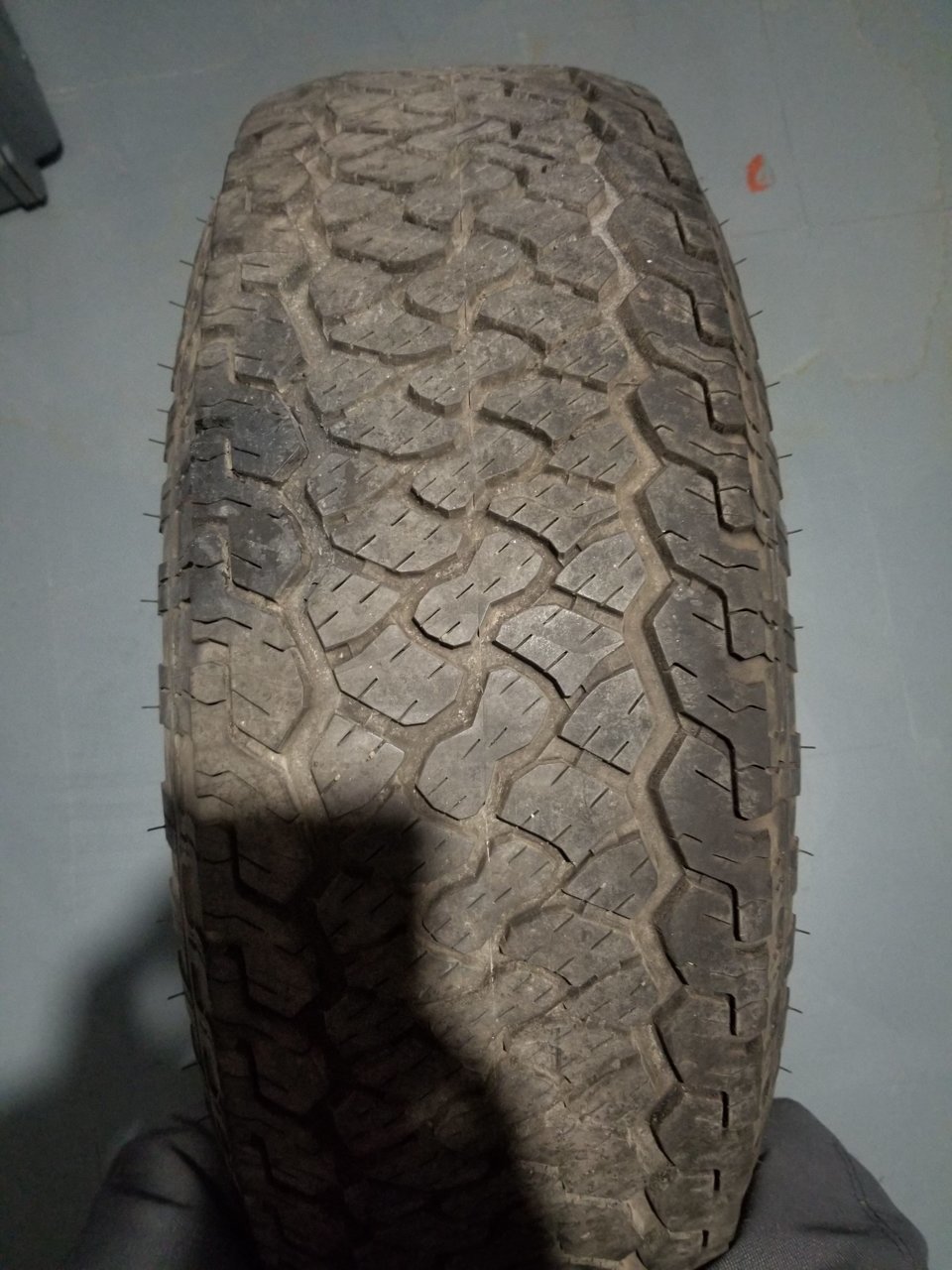 20201212_111339.jpg
