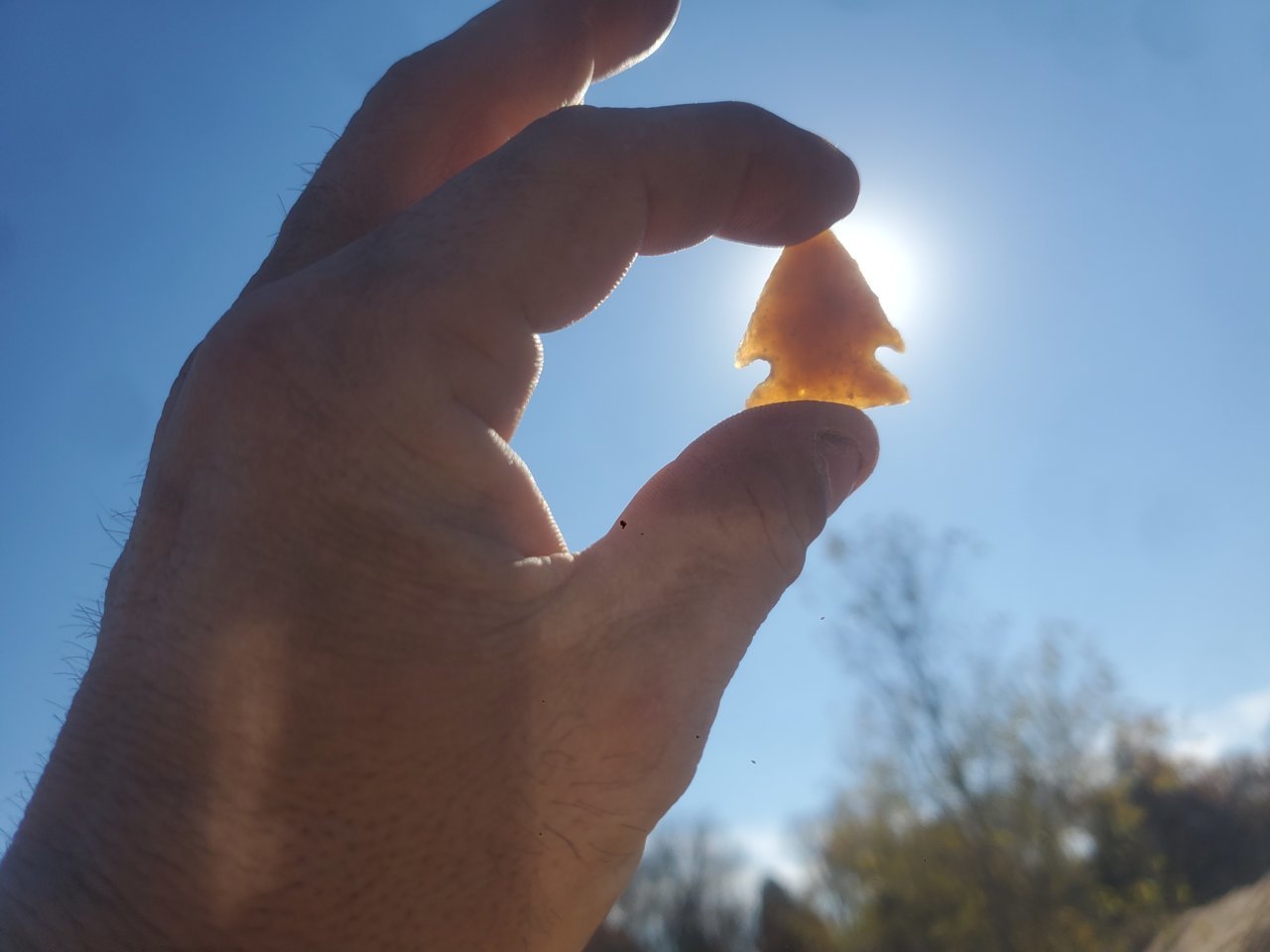 20201212_124959.jpg