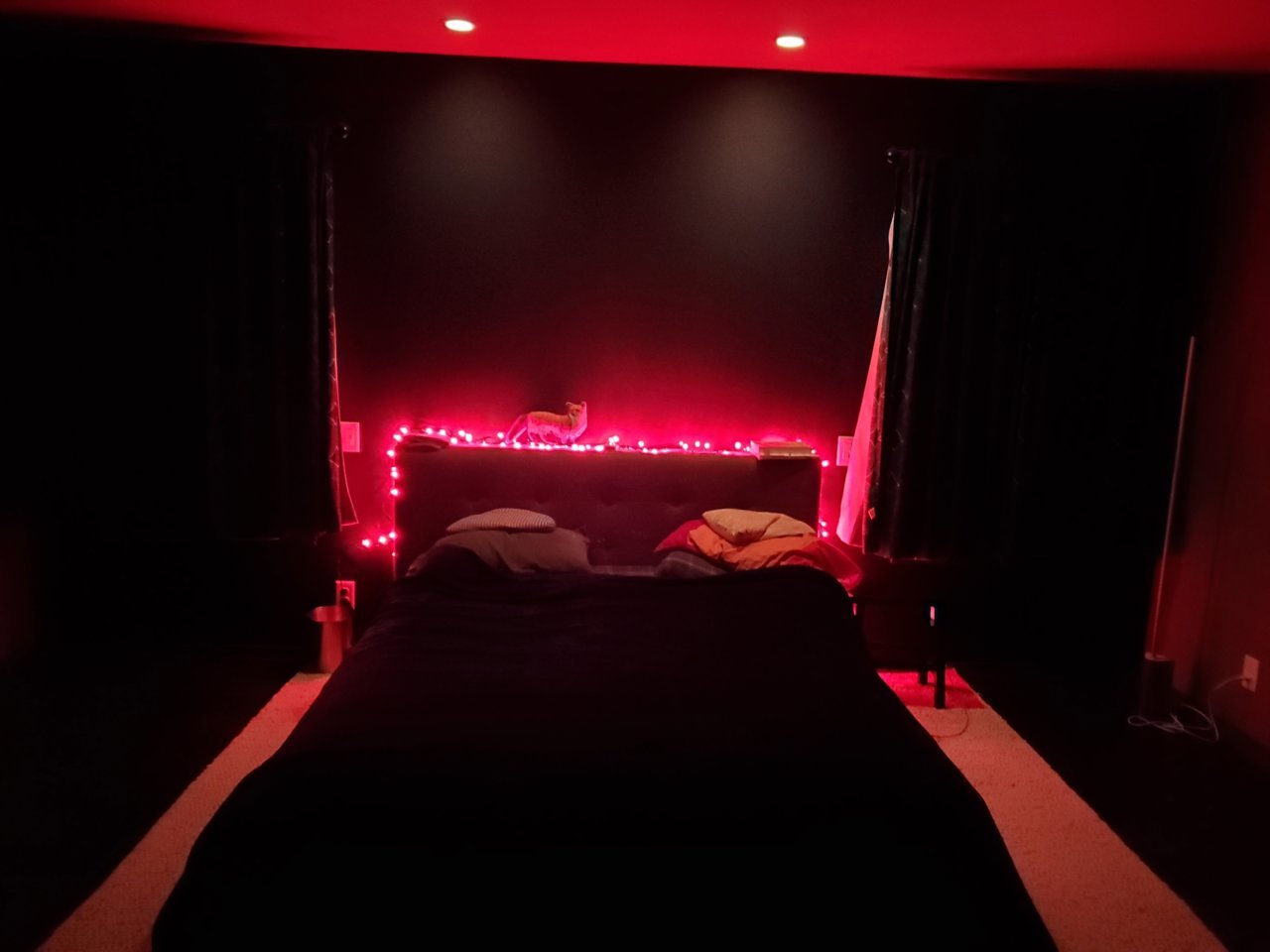 20201212_191506.jpg