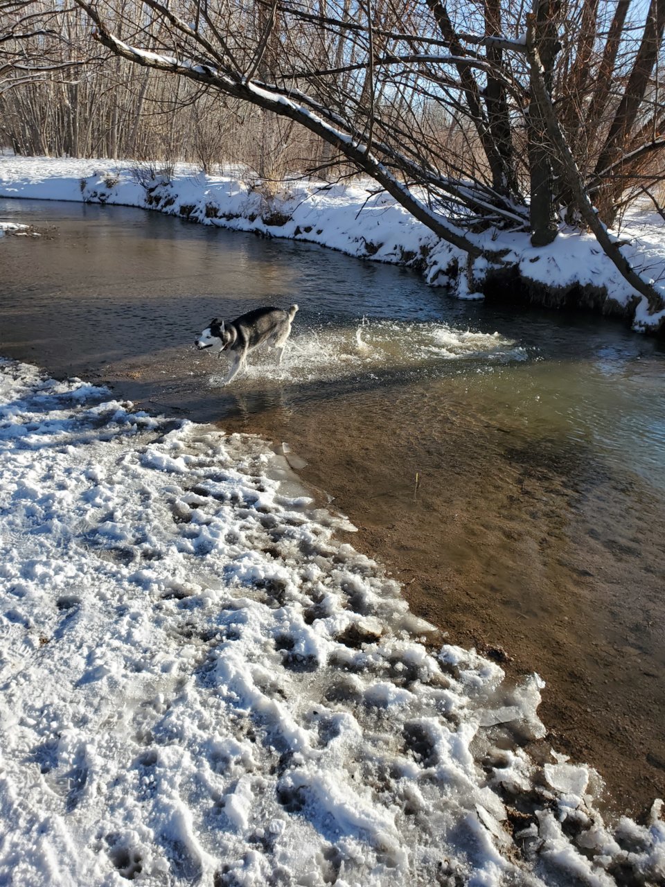 20201213_144435.jpg